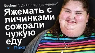 ЯЖЕМАТЬ С ЛИЧИНКАМИ СОЖРАЛИ ЧУЖУЮ ЕДУ. ЯЖЕМАТЬ ИСТОРИИ.