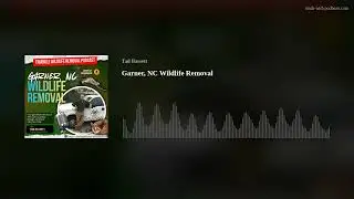 Wildlife Removal in Garner NC