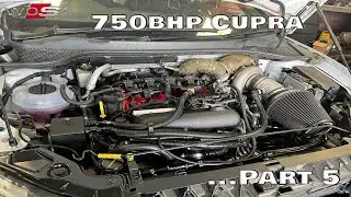 750BHP Cupra | Part 5 of the re-build...