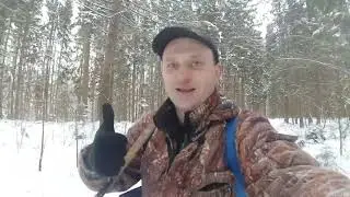 Охота на куницу с европейцами. Зачётный самец.