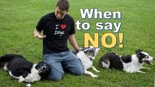 How, When and Why I say 