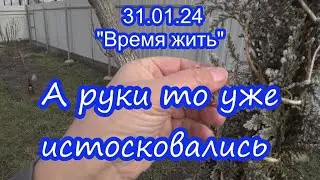 31.01.24  ⏳ А руки то истосковались ⌛