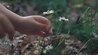 Семья