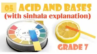 Acid and bases with sinhala explanation |Grade 7| science| english medium|unit 5
