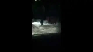 Аполоша и Bad B.MOV
