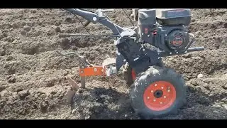 Planting potatoes with a walk-behind tractor. What's the right way?