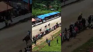 PACUAN KUDA WALIKOTA BUPATI CUP 2023 #kudapacu #horse #horseracing #viral