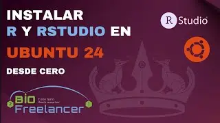 Instalar R y RStudio en Ubuntu 24 - Agosto 2024
