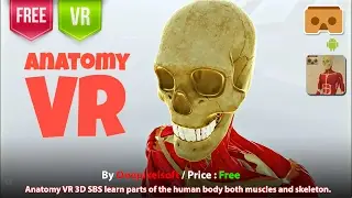Anatomy VR Google Cardboard learn parts of the human body both muscles and skeleton.