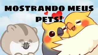 meus animais!