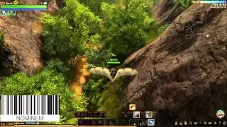 ArcheAge Kr - прокачка кошки #7