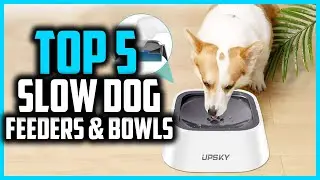 ✅Top 5 Best Slow Dog Feeders  Bowls On The Market In 2024 Reviews