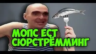 МОПС ЕСТ СЮРСТЁММИНГ (Квашеную рыбу)