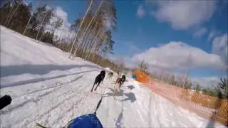 "Зимняя Сказка 2017" - Алена Шепелёва - SB1 - 1 место