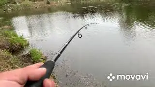 Вот Это Щука!!! Совсем нет Жора!!!