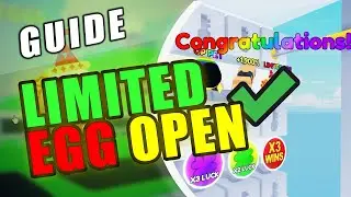 Race Clicker TROLLED ME WON Mega Prize Try III | Roblox