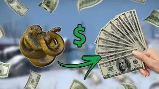 VALE A PENA COMPRAR A NOVA OPERAÇÃO DO CS:GO? (Lucre Muito)