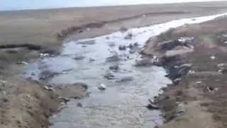 Sewerage river in Sumgait #2