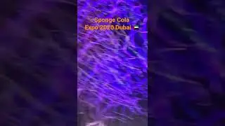 Sponge Cola @ Expo 2020 Dubai 🇦🇪