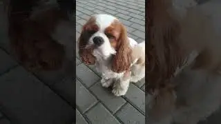 Анекдот. Если Вы родственники...