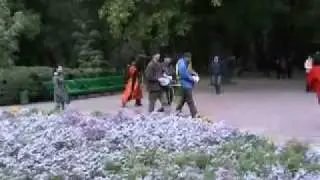 Боккаччо №2
