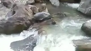 Ватабат в Цахуре