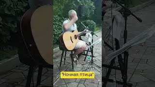 #ночная #птица #ночное #авторскаяпесня #лето  #ночнаяптица #ночь #эта #гитара #музыка #авторское