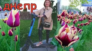 Днепр🌺 Сирена! (БОРЩ) На ПОБЕДЕ* сквер ПРИБРЕЖНЫЙ. 03.05.2023.