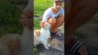 говорящий котенок #зачем меня трогаешь #котик #кот #встретил кота