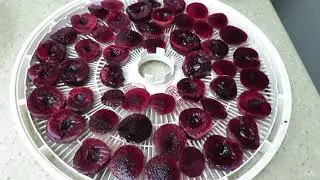 Dehydrating Plums in a dehydrator