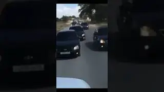 ВОТ ЖЕ ОНО, СТАДО🕊🕊🕊
