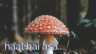 Heart touching song || new | | status download