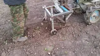 🔥Самодельная картофелекопалка без грохота.😲