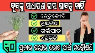 ଦୂବ ଘାସର ୧୦ଟି ବଡ ଫାଇଦା,ନେତ୍ରଜ୍ୟୋତି,ମୁଣ୍ଡବିନ୍ଧା,ଏସିଡିଟି ଭଳି ହଜାରେ ରୋଗ ଭଲ ହେବ | Benefits of Doob Grass