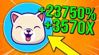 HUGE KISHU INU INCREASE COMING ! MASSIVE KISHU INU NEW PARTNERSHIP! KISHU INU PRICE PREDICTION
