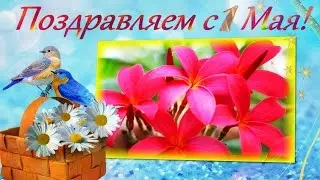 A beautiful congratulation for May 1