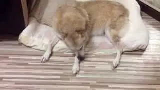 после мытья как хороше и свяжо
