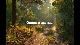 СТИХ ПРО ОСЕНЬ И ЖАТВУ.