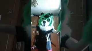 #furry europapa
