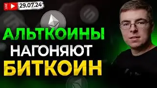 Ламповый домашний стрим с разбором АЛЬТКОИНОВ и рынка в целом!
