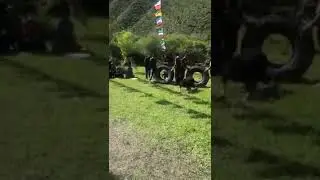 Күлө берип ичим эзилип калды. Силер дагы ХаХа тээп алгыла. 😁