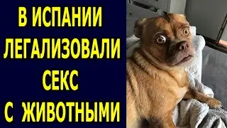 В Испании легализовали секс с животными. 