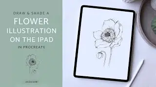 Flower illustration on the iPad tutorial