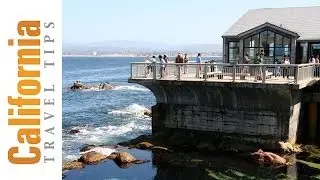 Monterey Bay Aquarium Travel Guide | California Travel Tips