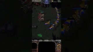 14 ВИВЕРН VS 3 ОСАДНЫЕ МАШИНЫ l стенка на стенку warcraft 3 reforged