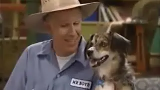 Barney Clip Shows: Hi! I'm Riff! (2008)