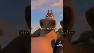 Motomoto le gusta 😂😂me gusta gorda 😂me gusta mala 😂