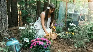 Summer Life in the Countryside