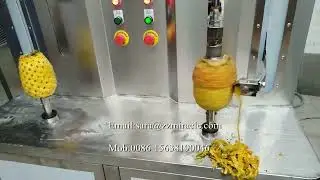 Pineapple peeling machine