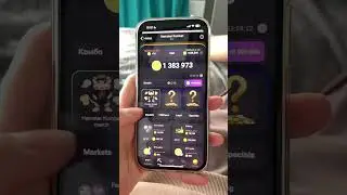 8 июня Новое Комбо в Хамстер Комбат на 5 000 000 монет ! Комбо карты ! Combo Hamster Kombat